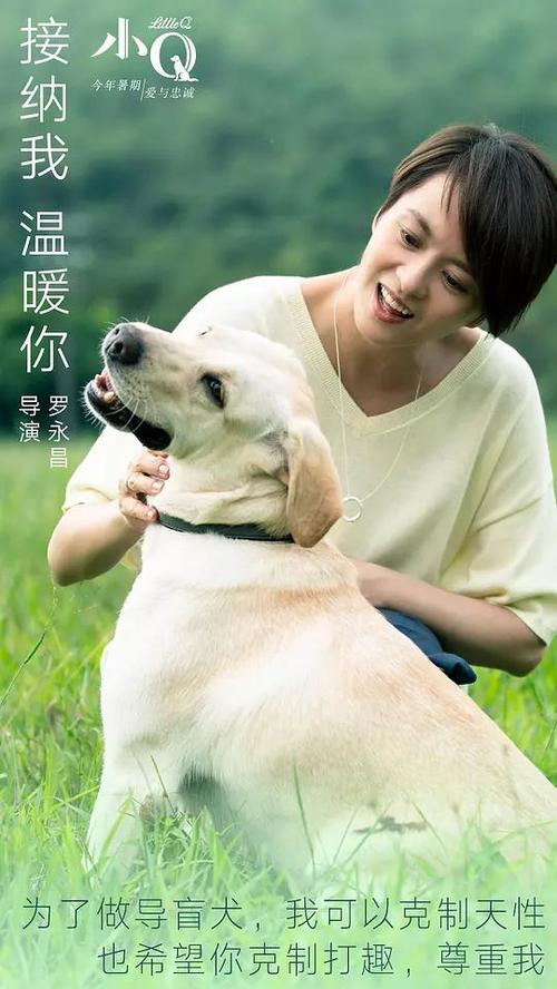 哪里能办理ATM机转账小票